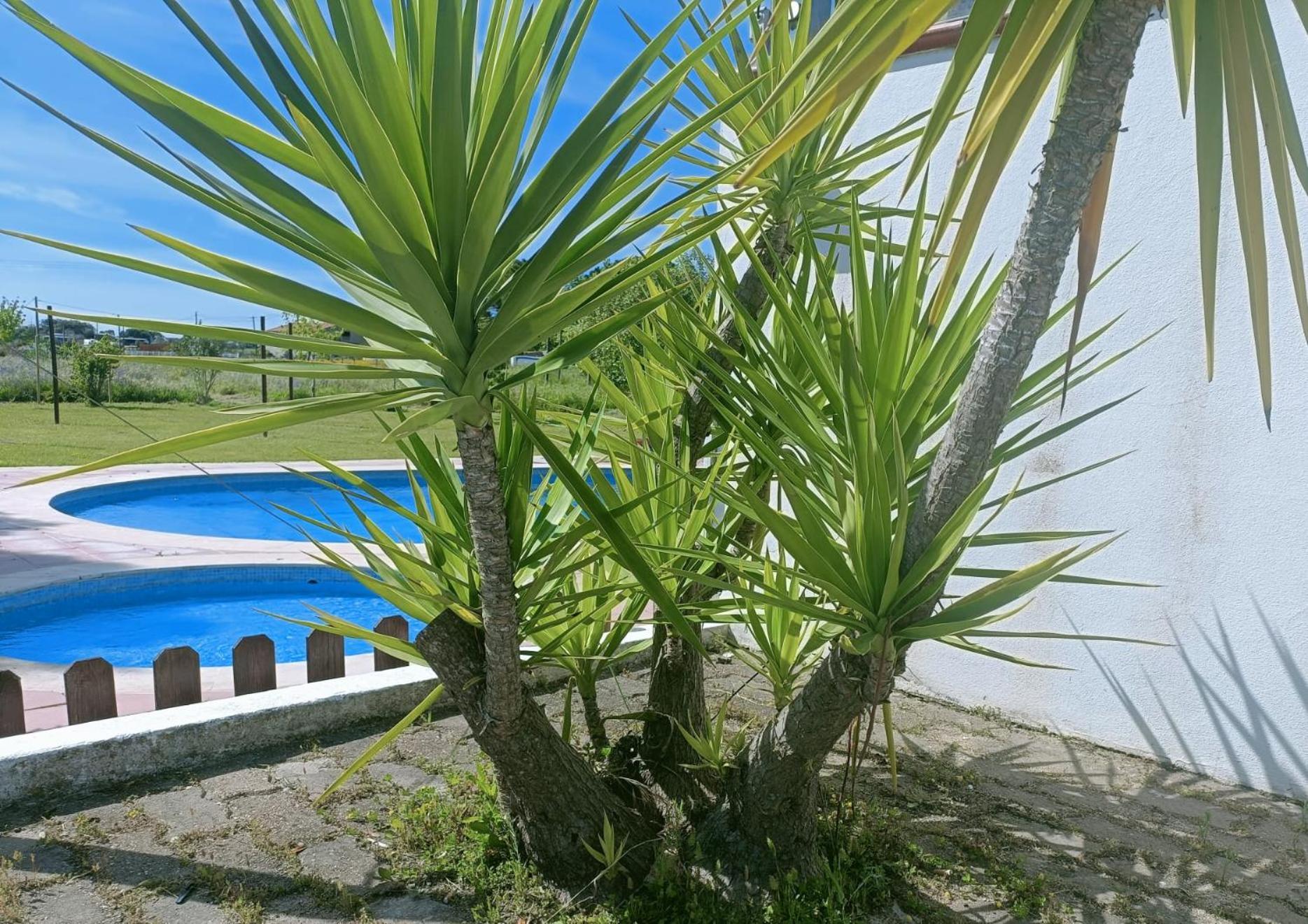 Casa Do Vale Hotel Evora Bagian luar foto